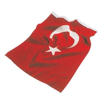 Türk Bayrakları